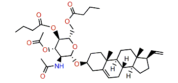 Muricin 4